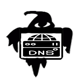 Get Find DNS Records